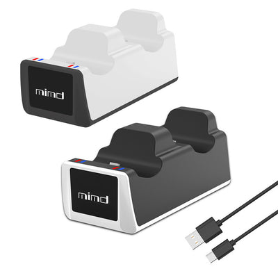 PS5 Dual Wireless Controller Charger